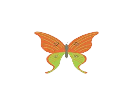 logo-grande-clinique-medicale-le-sphinx-blanc